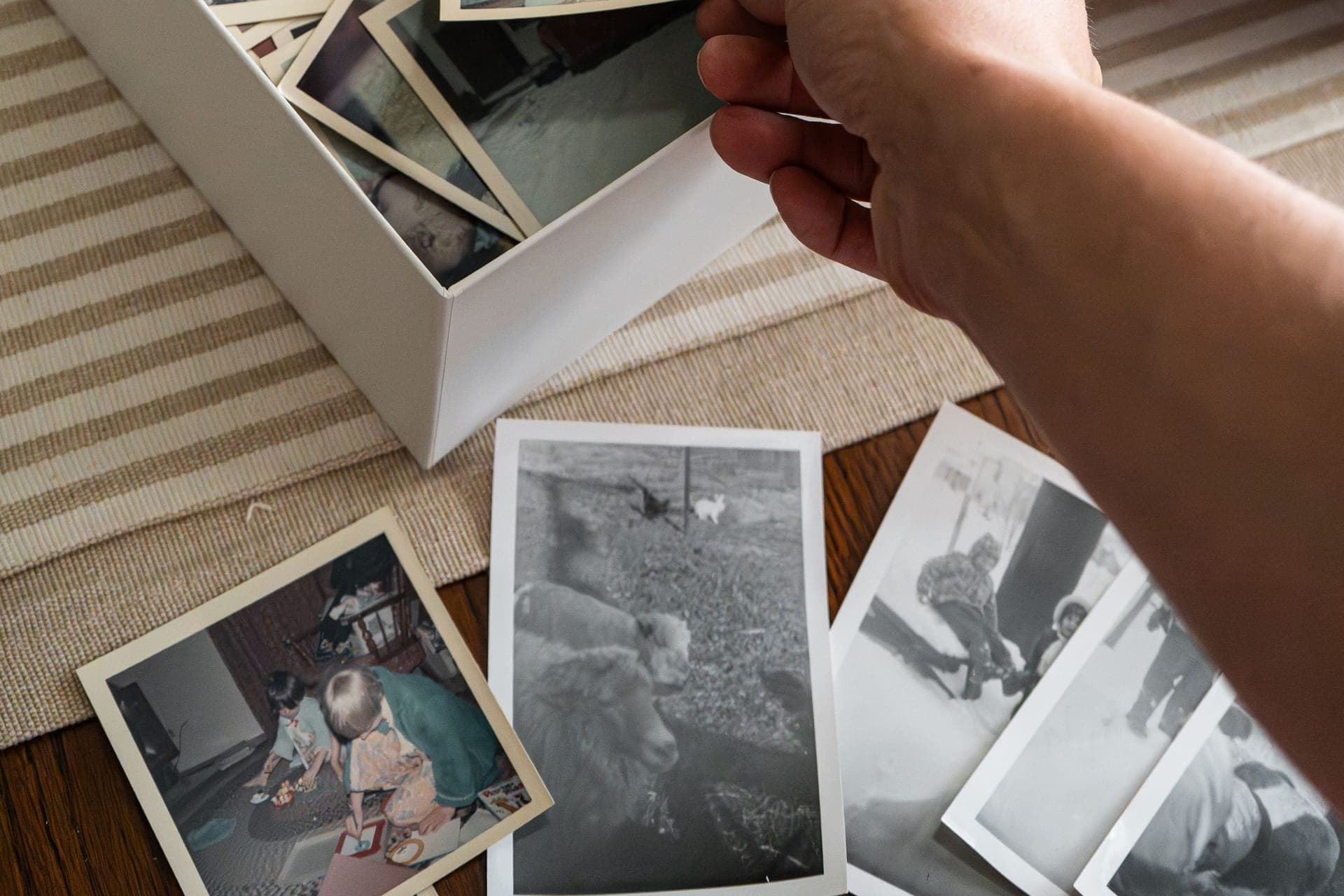 Alte Familienfotos werden bei einer Haushaltsauflösung sorgsam gesichtet